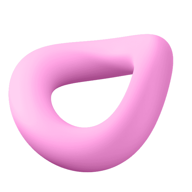 Decorative object torus