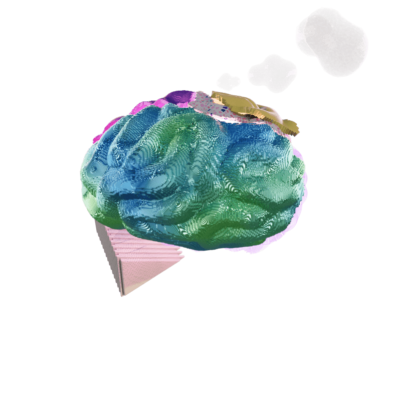 Decorative object brain